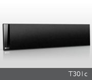 T301c T301c